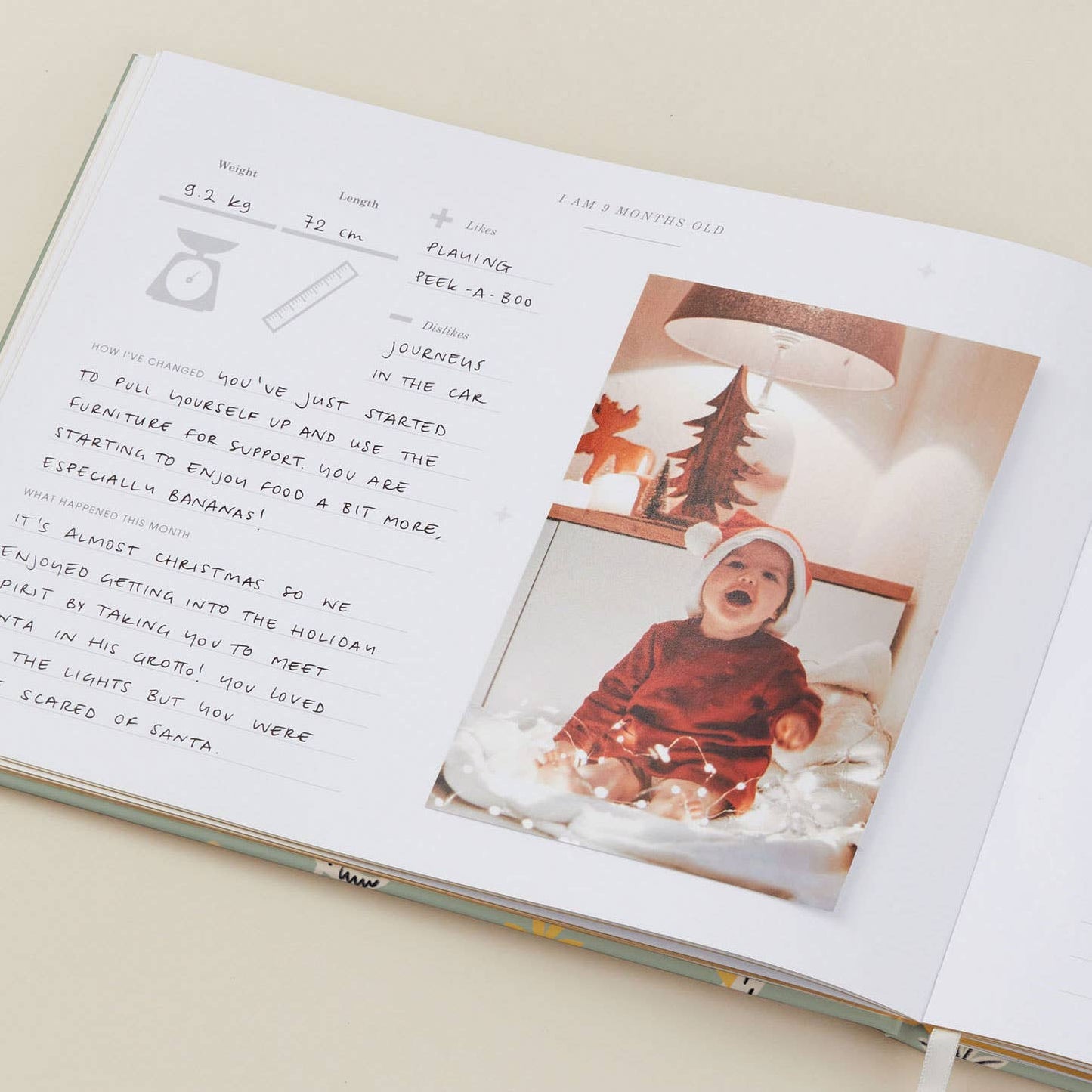 Baby Memory Book - Little One - Dino