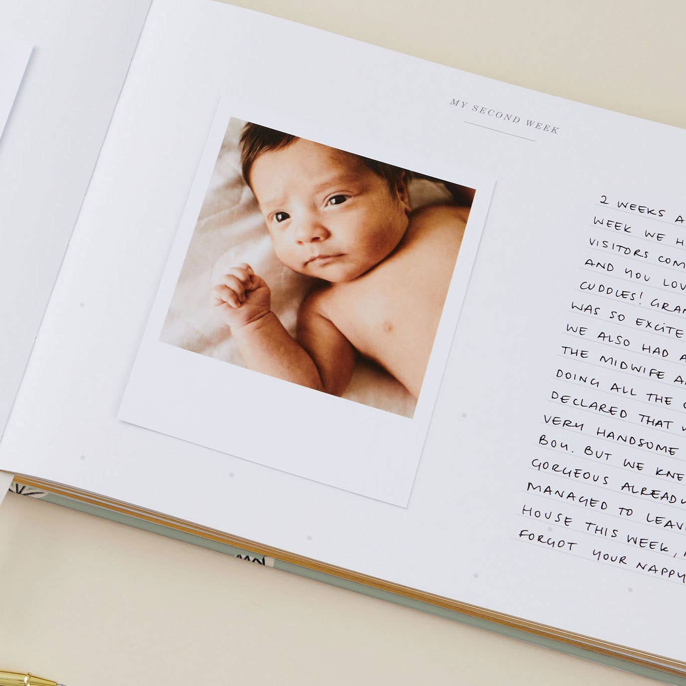 Baby Memory Book - Little One - Dino